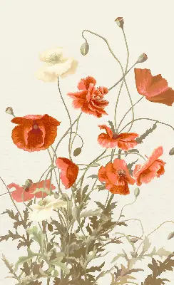 Verdunkelungsrollo Mohnblumen