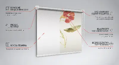 Fenster rollo Blume