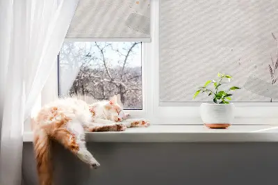Rollo lichtundurchlässig Ein zerknittertes Stück Papier