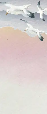 Verdunkelungsrollo Fliegende Vögel