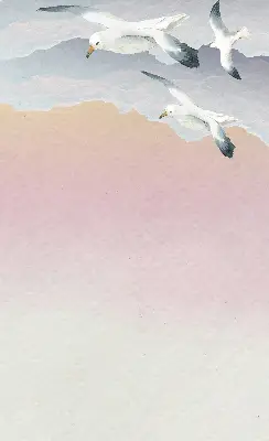 Verdunkelungsrollo Fliegende Vögel