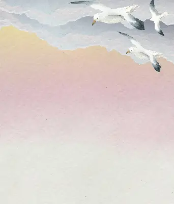 Verdunkelungsrollo Fliegende Vögel