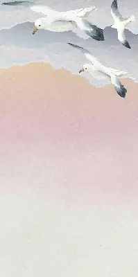 Verdunkelungsrollo Fliegende Vögel