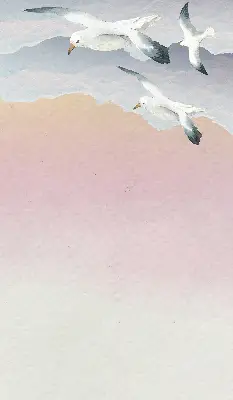Verdunkelungsrollo Fliegende Vögel