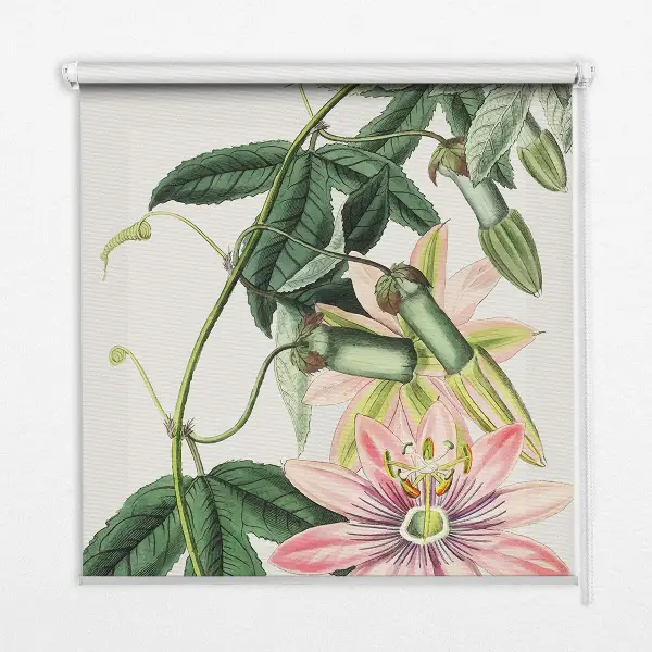 Verdunkelungsrollo Rosa Blume