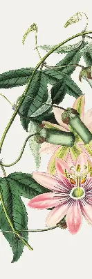 Verdunkelungsrollo Rosa Blume