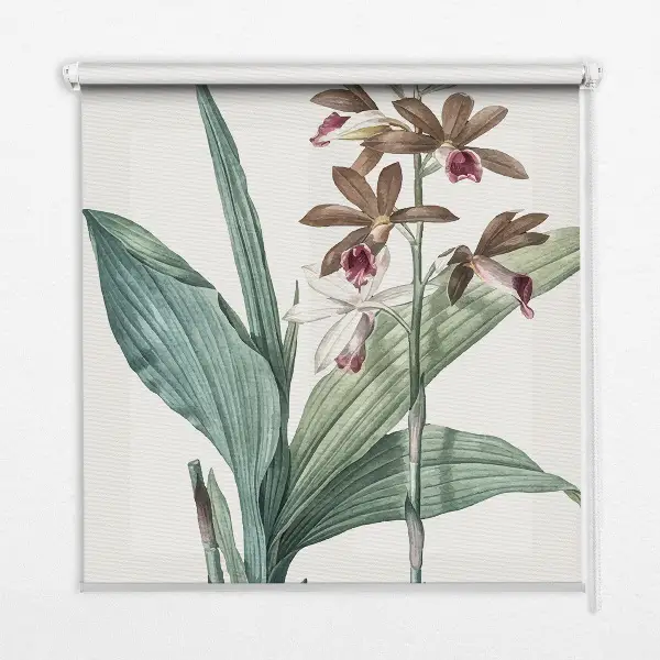 Rollo lichtundurchlässig Blume