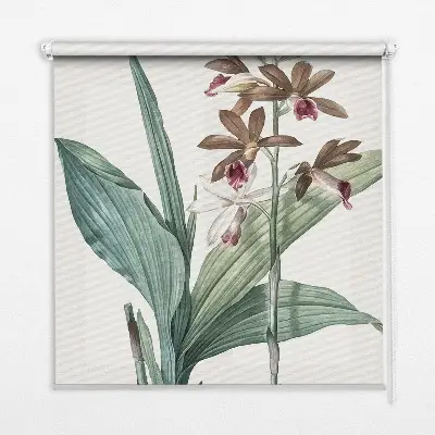Rollo lichtundurchlässig Blume