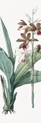 Rollo lichtundurchlässig Blume