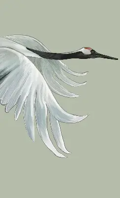 Fenster rollo Kranich im Flug