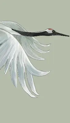 Fenster rollo Kranich im Flug
