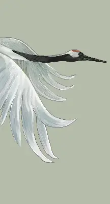 Fenster rollo Kranich im Flug