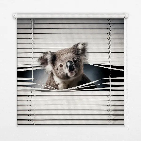 Verdunkelungsrollo Koala