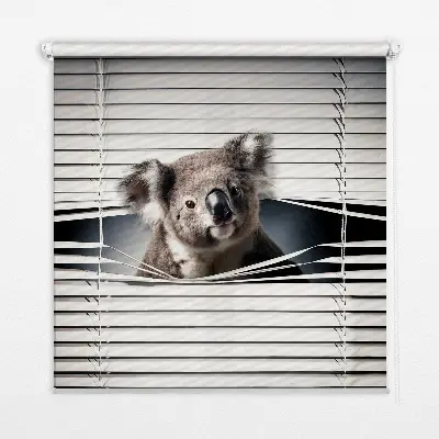 Verdunkelungsrollo Koala