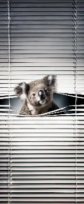 Verdunkelungsrollo Koala