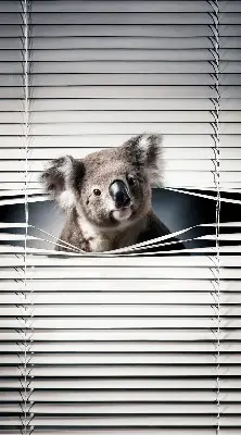 Verdunkelungsrollo Koala