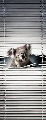 Verdunkelungsrollo Koala