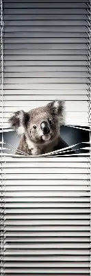 Verdunkelungsrollo Koala