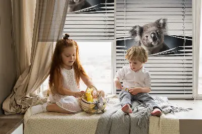 Verdunkelungsrollo Koala