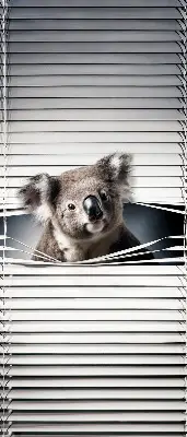 Verdunkelungsrollo Koala