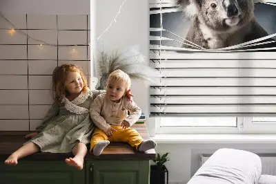 Verdunkelungsrollo Koala