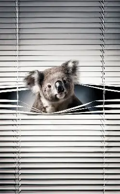 Verdunkelungsrollo Koala
