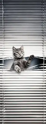 Fenster rollo Katze