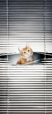 Rollo lichtundurchlässig Ingwerkatze