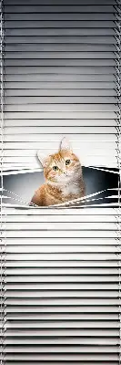 Rollo lichtundurchlässig Ingwerkatze