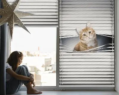Rollo lichtundurchlässig Ingwerkatze