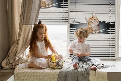 Rollo lichtundurchlässig Ingwerkatze