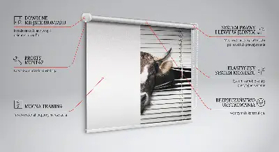 Verdunkelungsrollo Kuh