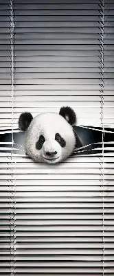 Fenster rollo Panda