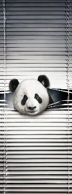 Fenster rollo Panda