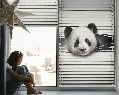 Fenster rollo Panda
