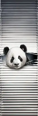 Fenster rollo Panda