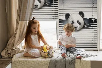 Fenster rollo Panda