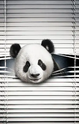 Fenster rollo Panda
