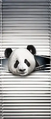 Fenster rollo Panda