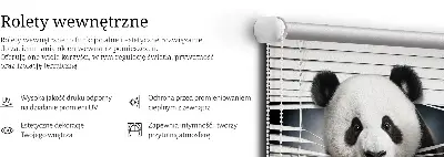Fenster rollo Panda