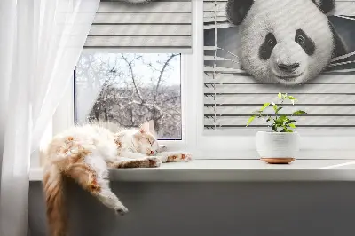 Fenster rollo Panda