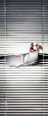 Verdunkelungsrollo Hund