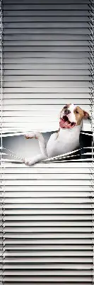 Verdunkelungsrollo Hund