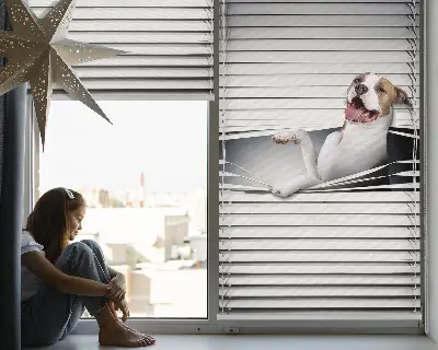 Verdunkelungsrollo Hund
