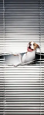 Verdunkelungsrollo Hund