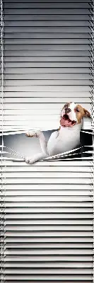 Verdunkelungsrollo Hund