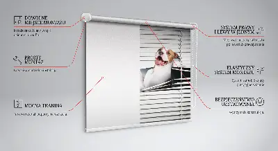 Verdunkelungsrollo Hund