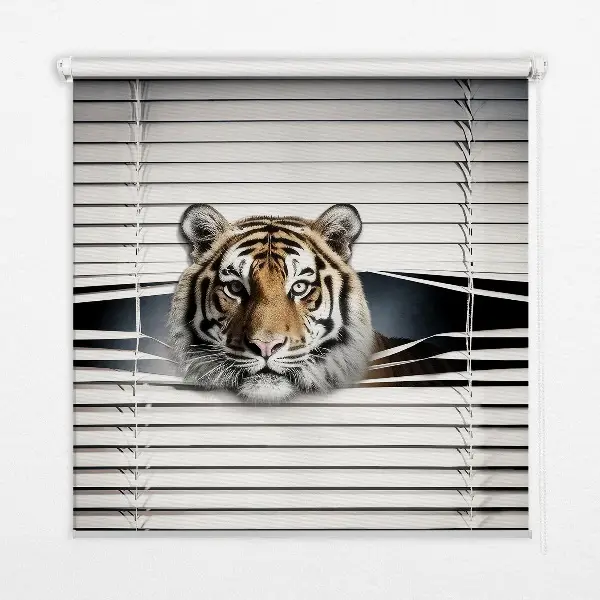 Rollo lichtundurchlässig Tiger