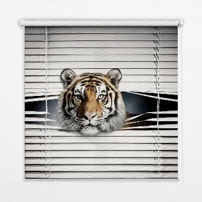 Rollo lichtundurchlässig Tiger