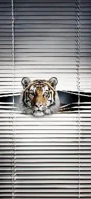 Rollo lichtundurchlässig Tiger